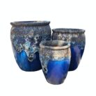 WhatsApp Image 2025-03-24 at 10.11.36_cd975d52